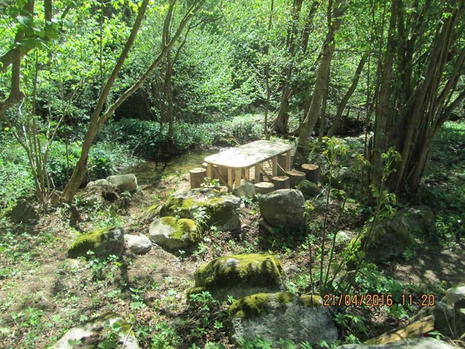 Crni Vrh Vila Idila מראה חיצוני תמונה